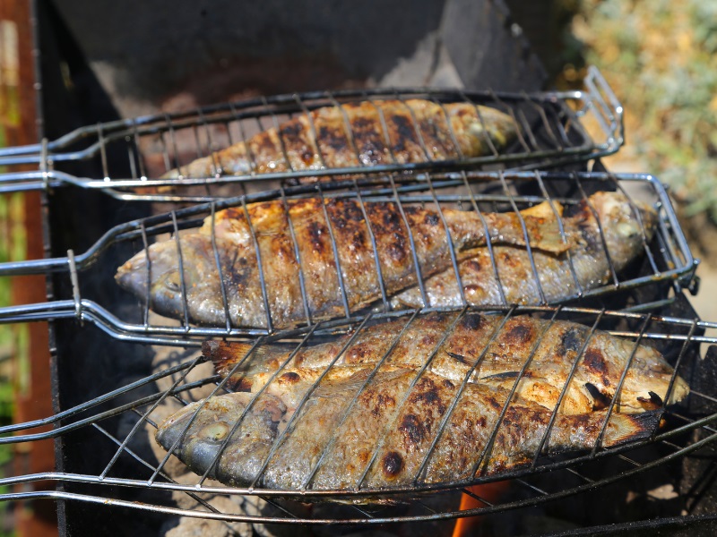 Gegrillter Fisch
